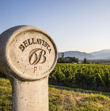 Load image into Gallery viewer, An Evening of Elegance: BELLAVISTA Franciacorta Tasting - Thursday January 16th